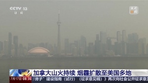 最新赛季蜘蛛足球进球集锦_最新赛季蜘蛛足球进球集锦在线观看_免费看直播